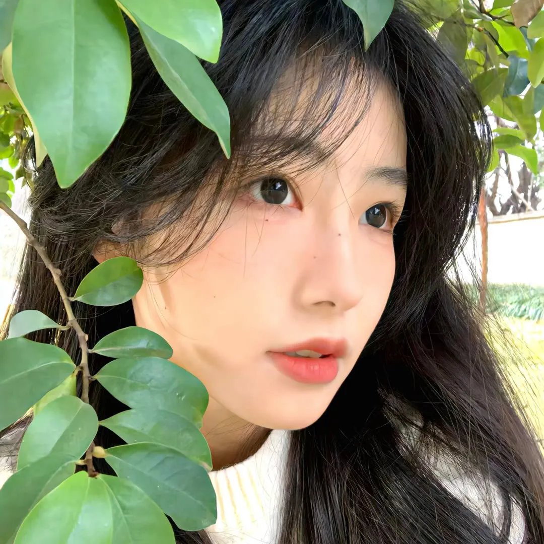 空白转机